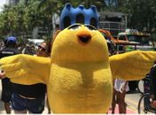 Carnaval dos Vacinados: Bloco Pinto da Madrugada apresenta proposta para desfile de 2022