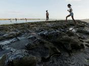 Derramamento de óleo já chegou a nove prais do Nordeste.