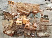 Aves, armas e armadilhas foram apreendidas pelas equipes envolvidas