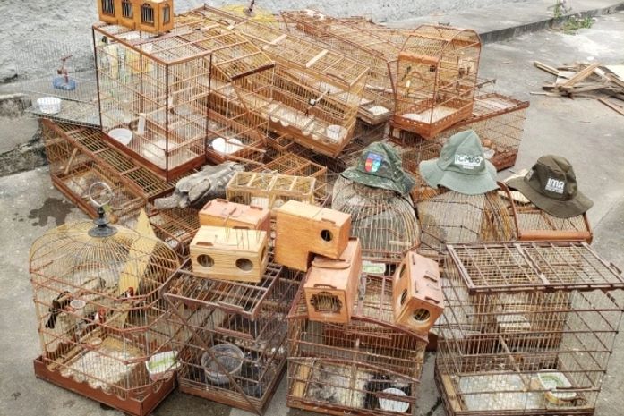 Aves, armas e armadilhas foram apreendidas pelas equipes envolvidas