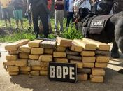 Droga apreendida foi encontrada graças a cadela Bela