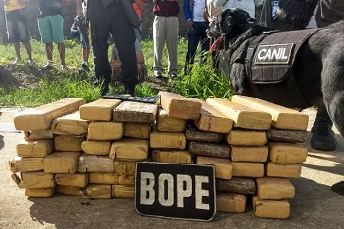 Droga apreendida foi encontrada graças a cadela Bela