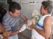 Vacinação antirrábica começa hoje em Maceió; veja locais 