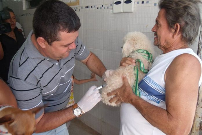 1ª etapa da vacinação antirrábica acontece neste sábado em Maceió; veja locais