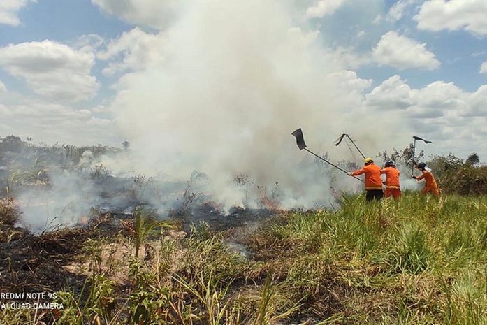 Incêndio destrói área de pasto em Craíbas