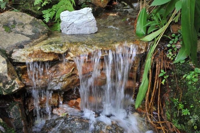 Prazo para inscrições no Prêmio ANA 2020 termina no sábado