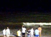 Tubarões são vistos à beira-mar na orla de Maceió; veja vídeos