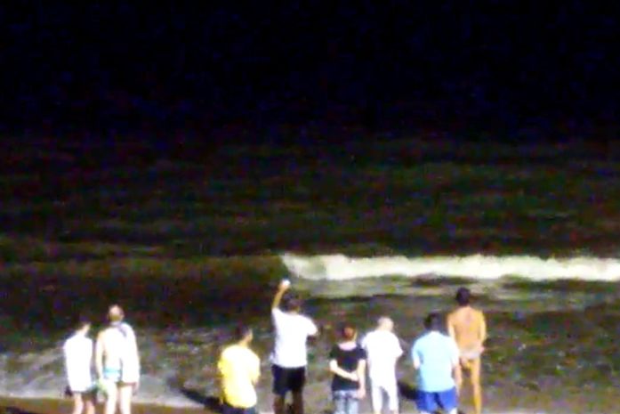 Tubarões são vistos à beira-mar na orla de Maceió; veja vídeos