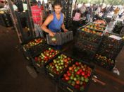 Saúde do maceioense fica 0,65% mais cara e alimentos também sofrem alteração