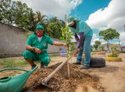 m 2022, Prefeitura de Maceió já realizou o plantio de mais de 2.400 exemplares na capital