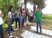 Alunos da Ufal conhecem tecnologia para a produção sustentável de hortaliças em Arapiraca