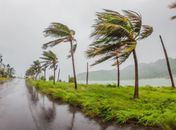 Defesa Civil emite alerta de rajadas de vento fortes em diversas regiões de Alagoas