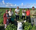 São Miguel dos Campos realizará colheita do Projeto “Comida na Mesa” na zona rural do Barro Branco