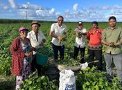 São Miguel dos Campos realizará colheita do Projeto “Comida na Mesa” na zona rural do Barro Branco