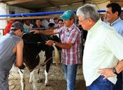 Governador assiste à fertilização artificial bovina no município de Craíbas