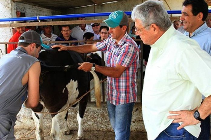 Governador assiste à fertilização artificial bovina no município de Craíbas