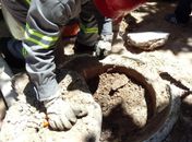 Operação Gatuno combate furto de energia elétrica na orla