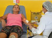 Hemoal encerra a semana com coleta externa de sangue em São Miguel dos Campos neste sábado
