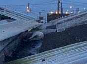 OAB vai acompanhar caso de animais que morreram envenenados em condomínio de Maceió