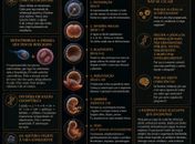 A vida a partir dos átomos e a pergunta que a biologia ainda não responde