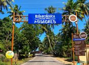 Em São Miguel dos Milagres, famílias são abandonadas depois de serem usadas no período eleitoral  
