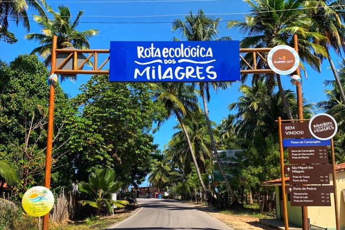 Em São Miguel dos Milagres, famílias são abandonadas depois de serem usadas no período eleitoral