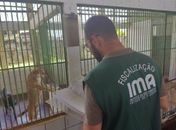 Fiscalização do IMA autua Unidade de Vigilância em Zoonoses por falta de licença ambiental