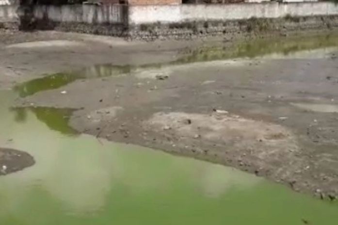 Ação da prefeitura de Pilar retira jacarés de dentro de lago da cidade