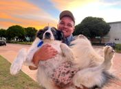 Raízes de Arapiraca conta a  emocionante jornada do cachorro Gigante no Hospital de Emergência