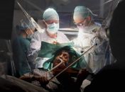 Violinista toca durante a própria cirurgia no cérebro