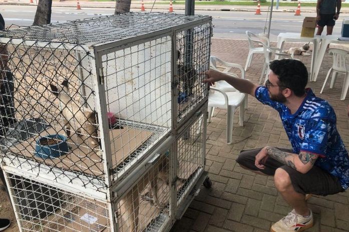 Gabinete da Causa Animal e Zoonoses levam cães e gatos para Feira de Adoção no domingo (15)