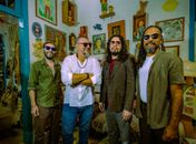 Shows de rock, brasilidades e feira gratuita: confira a programação do Rex Bar desta semana