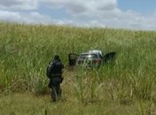 Latrocínio ou homicídio: PC tem duas linhas de investigação para assassinato de motorista de aplicativo encontrado em canavial