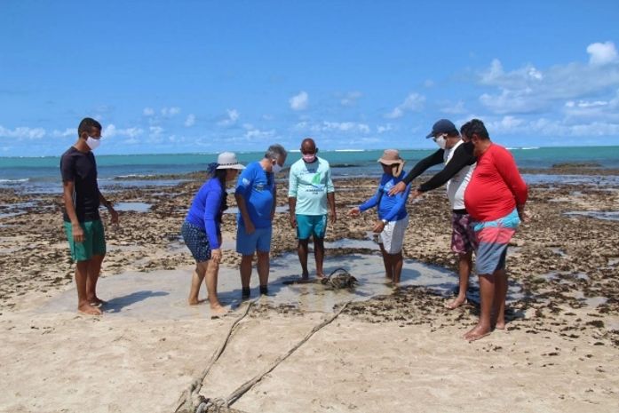 Piscinas naturais da Pajuçara são monitoradas para retorno gradual das atividades