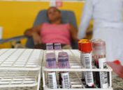 Hemoal realiza ações itinerantes para coleta de sangue e cadastro para doação de medula óssea