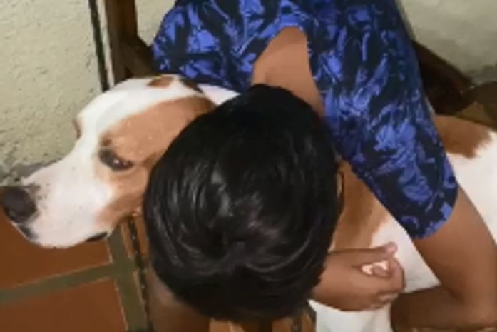 Cachorrinho que estava desaparecido foi encontrado e devolvido para a família.