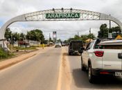 Jacaré é capturado após ser visto em via pública de Arapiraca