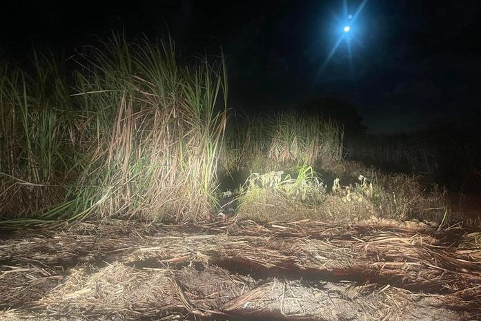 Polícia Civil conclui inquérito e indicia homem por homicídio e ocultação de cadáver em Maceió