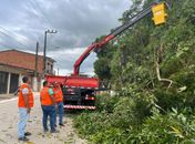 Defesa Civil de Branquinha realiza operação de podas de árvores