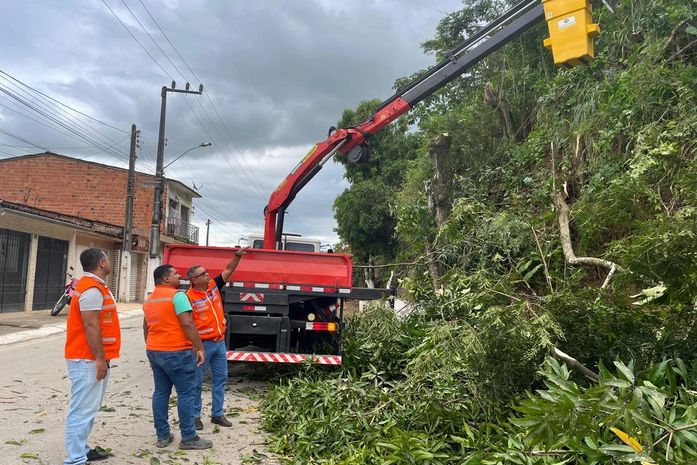 Defesa Civil de Branquinha realiza operação de podas de árvores