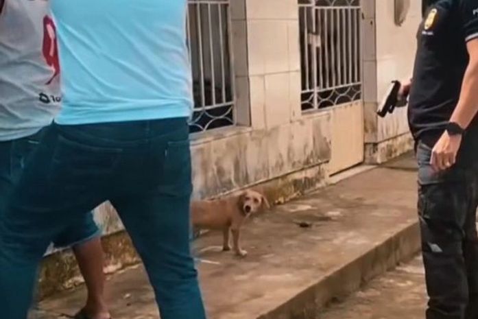 Foragido por estupro é preso em Município de AL após 15 anos