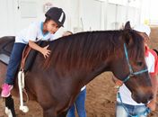 Equoterapia é regulamentada como método de reabilitação de pessoas com deficiência