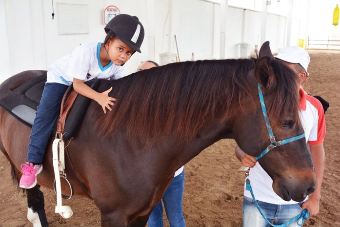 Equoterapia é regulamentada como método de reabilitação de pessoas com deficiência