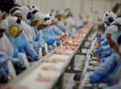 JBS retoma produção de carne bovina