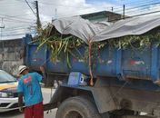 Condutores são autuados por descarte irregular de resíduos
