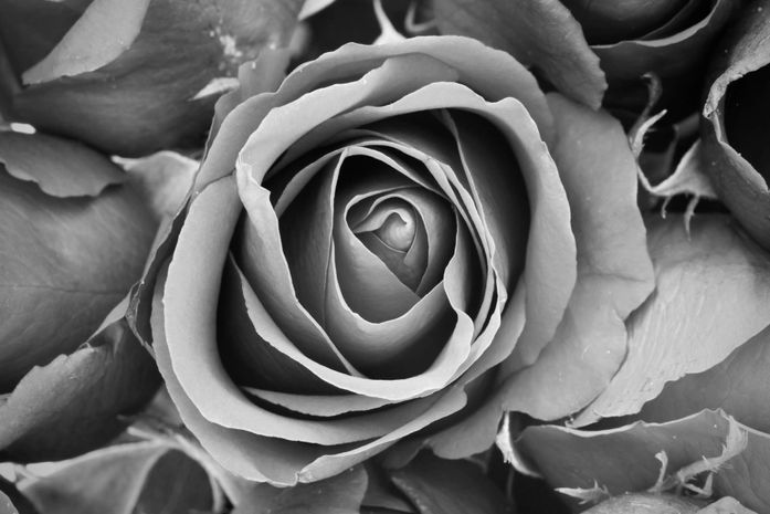 CURIOSIDADES SOBRE PENSÃO POR MORTE