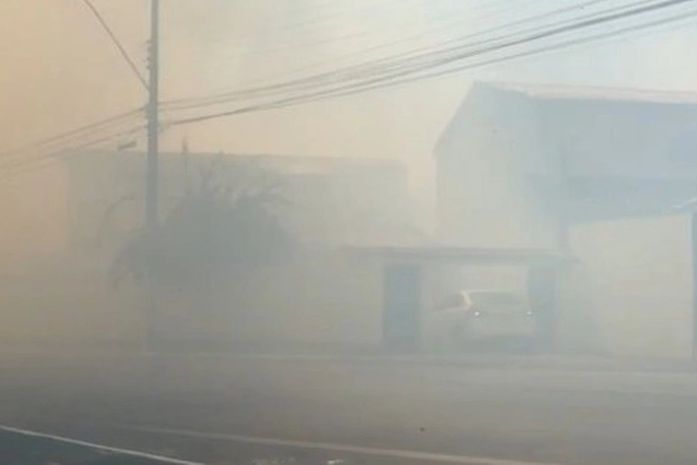 Incêndio em vegetação deixa bairro em Maceió "coberto de fumaça"