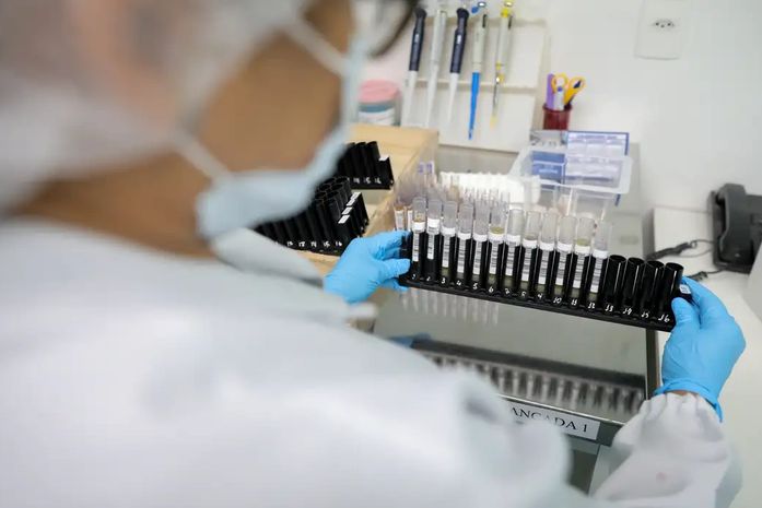 Fiocruz obtém patente para tratamento contra malária resistente com participação da UFAL