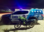 Ameaça Frustrada: Guarda Municipal prende suspeito e descobre plantação de maconha

