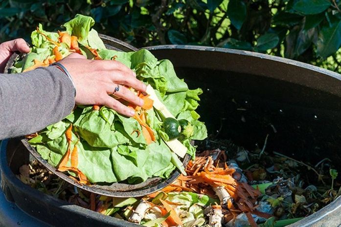 Processo de compostagem contribui para reutilizar rejeitos e resíduos